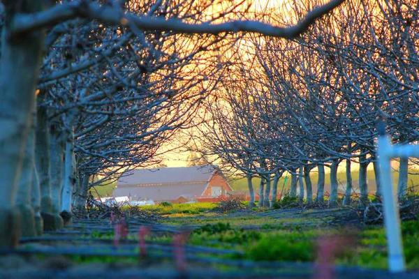 展示明确剧本的核心主题和目标至关重要概念的视觉内容