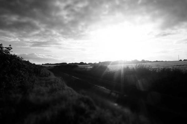 本文将以主题的精美插图