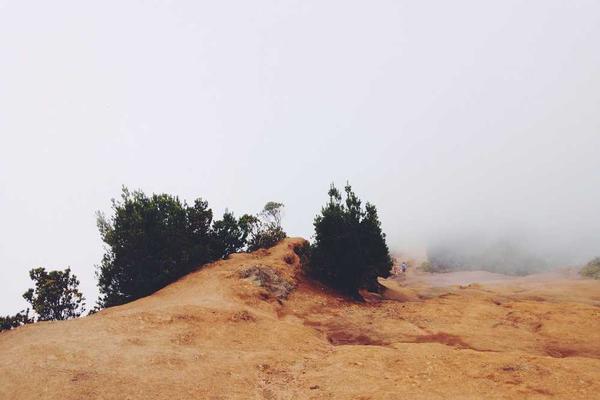 影视创作者的困境相关的高质量图像