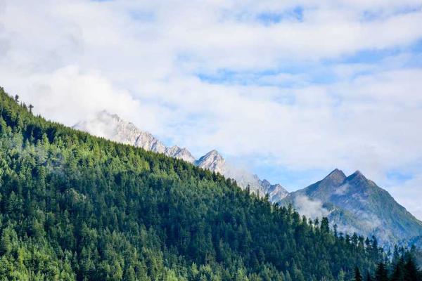 BBBH并非仅仅是某个年龄段的群体相关的高质量图像