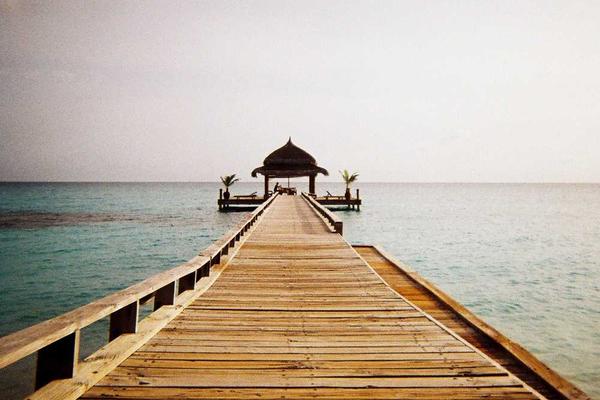 关于digital的专业图片