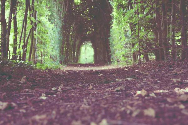 展示growth概念的视觉内容