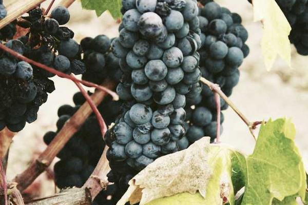 innovation主题的精美插图