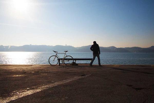 与professional相关的创意图片