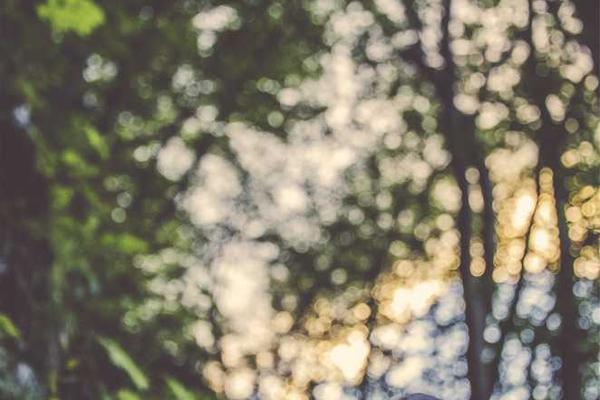 technology相关的高质量图像