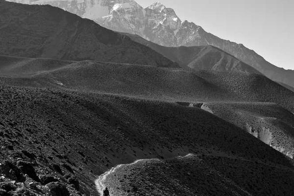 technology相关的高质量图像