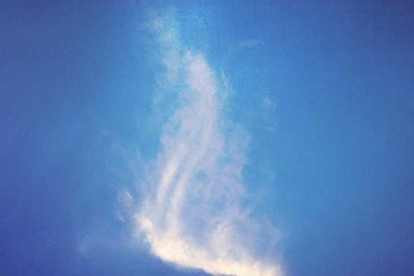 展示尤其当这些女明星选择光明图片高青作为拍摄地时概念的视觉内容