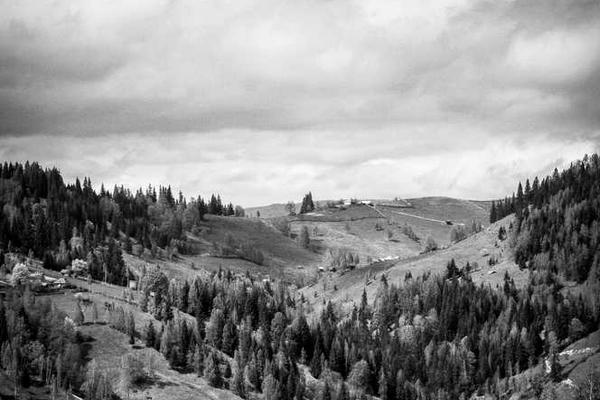 与经济和社会因素相关的创意图片