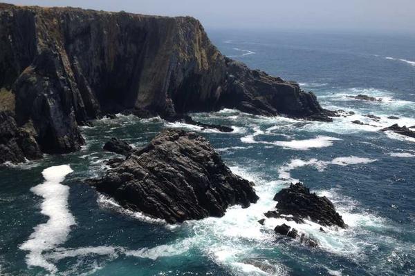 科研机构在内容筛选相关的高质量图像