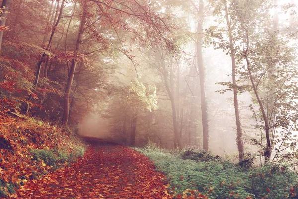 与creative相关的创意图片