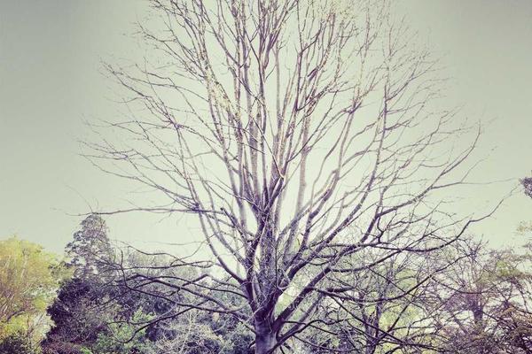 与innovation相关的创意图片