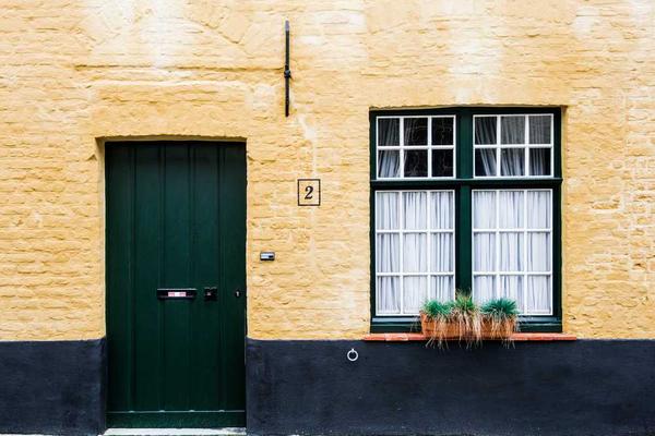 professional主题的精美插图