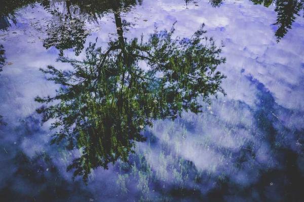 展示success概念的视觉内容